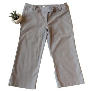 HAVE & HAVE Gray Zip Flat Front Cropped Capri Pants M